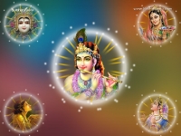 Krishna-1024X768_79