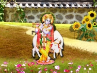 Krishna-1024X768_80