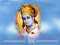 Krishna-1024X768_80
