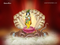 Krishna-1024X768_813