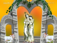 Krishna-1024X768_819