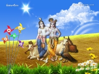 Krishna-1024X768_825