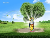 Krishna-1024X768_827