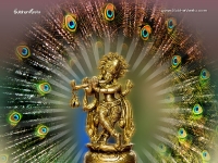 Krishna-1024X768_837