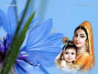 Krishna-1024X768_86