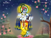 Krishna-1024X768_92