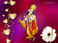 Krishna-1024X768_95