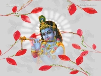Krishna-1024X768_96