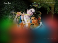 Krishna-1024X768_99