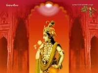 Krishna-1024X768_9