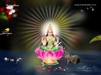 1024X768-Lakshmi Wallpapers_176