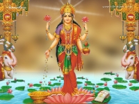 1024X768-Lakshmi Wallpapers_33