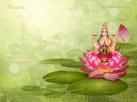1024X768-Lakshmi Wallpapers_574