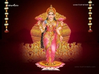 1024X768-Lakshmi Wallpapers_583