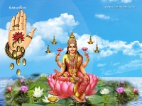 1024X768-Lakshmi Wallpapers_603
