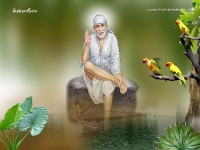 1024X768-SaiBaba_164