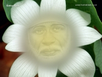 1024X768-SaiBaba_99