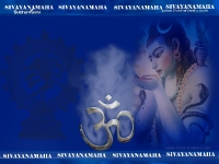 1024X768-Siva_230
