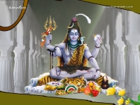 1024X768-Siva Wallpapers_834