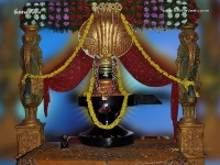 1024X768-Siva Wallpapers_969