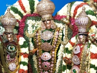 1024X768-SriRama_129