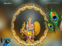 1024X768-Subramanya_131