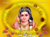 1024X768-Subramanya_25