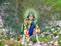 1024X768-Subramanya_46