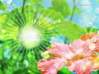 1024X768-Islam Wallpapers_467